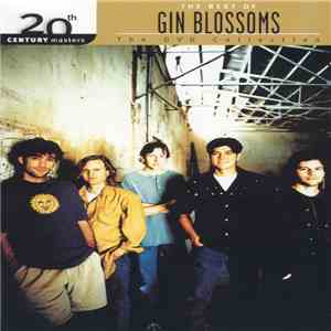 Gin Blossoms - The Best Of Gin Blossoms download flac