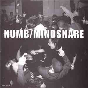 Numb  / Mindsnare - Numb / Mindsnare download flac