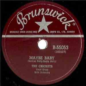 The Crickets  - Maybe Baby FLAC album