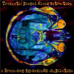 Various - Traumatic Pineal Gland Extraction download flac