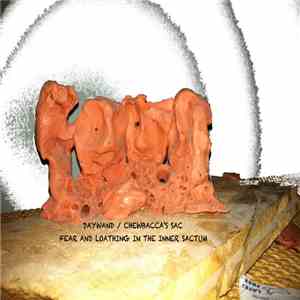 Daywand, Chewbacca's Sac - Fear And Loathing In The Inner Sactum download flac