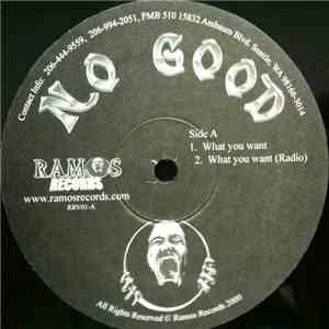 No Good - What You Want download flac