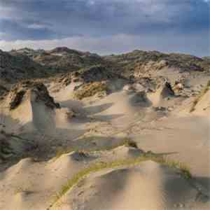White Manna - Dune Worship download flac