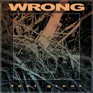 Wrong  - Feel Great download flac