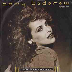 Camy Todorow - Bursting At The Seams download flac