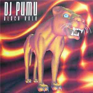 DJ Pumu - Black Hole download flac