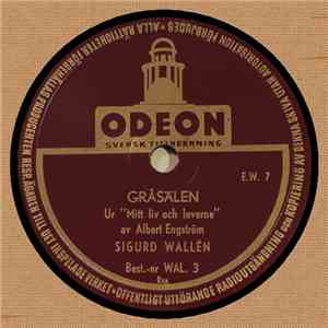 Sigurd Wallén - Gråsälen / Petter På Ängsön download flac