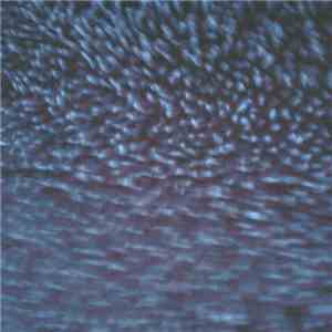SineRider - Music For Sleeping Vol.1 download flac
