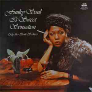 The Soul Seekers  - Funky Soul Is Sweet Sensation download flac