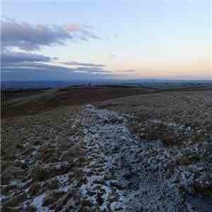 Chris Watson - Dawn Chorus download flac