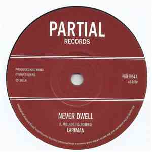 Lariman - Never Dwell download flac