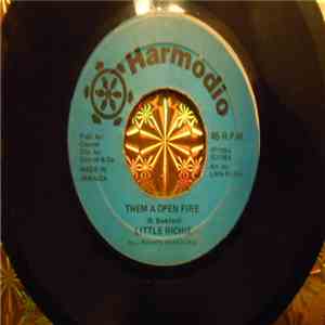 Little Richie  - Them A Open Fire download flac