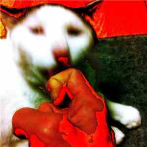 Noine - Cheap Non​-​Routine 2 download flac