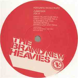 The Brand New Heavies Featuring Nicole Russo - Surrender download flac