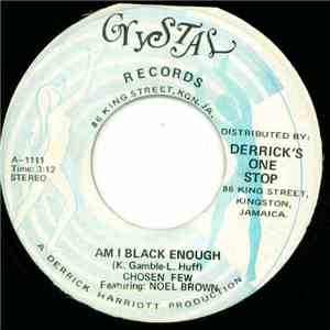 The Chosen Few - Am I Black Enough download flac