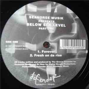 Seahorse Musik - Below Sea Level Part One FLAC album