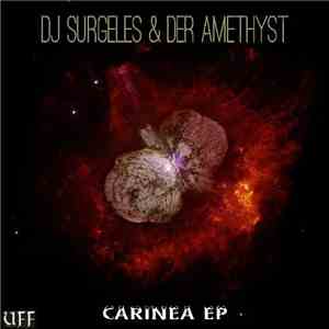 DJ Surgeles, Der Amethyst - Carinea Ep download flac