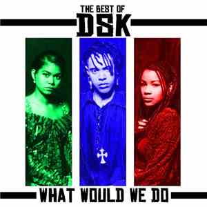 DSK - The Best Of - What Would We Do download flac