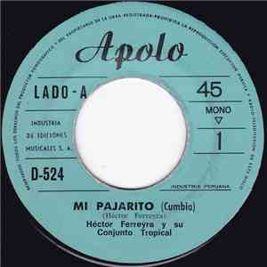 Hector Ferreyra Y Su Conjunto Tropical - Mi Pajarito / La Pichoncita download flac