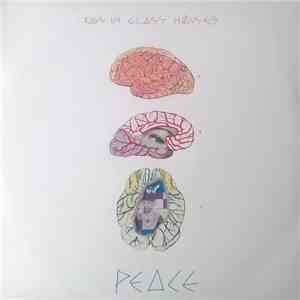 Kids In Glass Houses - Peace download flac