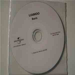 LIAMOO - Burn (Steerner Remix) download flac