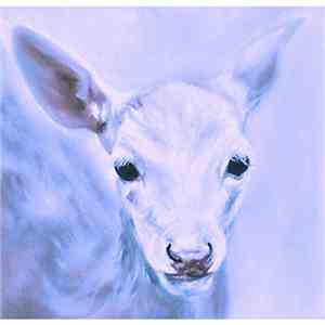 Madeleine Hunt - Scared Of The Sky download flac