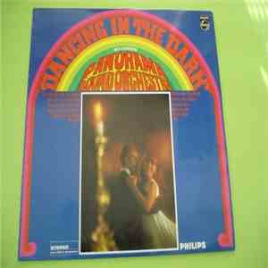 Panorama Sound Orchestra - Dancing In The Dark download flac