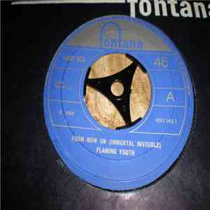 Flaming Youth - From Now On (Immortal Invisible) download flac