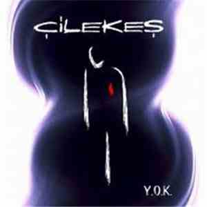 Çilekeş - Y.O.K FLAC album