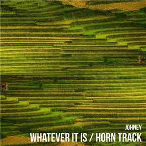 Johney - Whatever It Is / Horn Track download flac