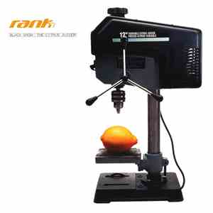 Rank 1 - Black Snow / The Citrus Juicer download flac