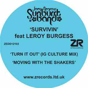 The Sunburst Band - Survivin' download flac