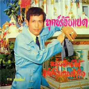 ชาย เมืองสิงห์ - ทุกข์ร้อยแปด / หนุ่มปักษ์ใต้ / แม่ตั๊กแตนตำใจ download flac