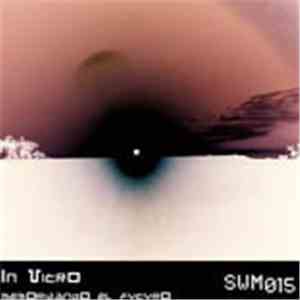In Vitro  - Memorizando El Futuro download flac