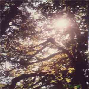 Robedoor - Pained Seer download flac