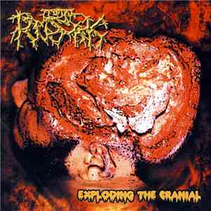 Total Rusak - Exploding The Cranial download flac
