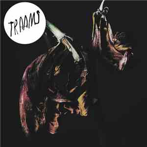 Traams - Grin download flac