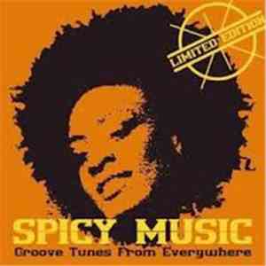 Various - Spicy Music | Groove Tunes From Everywhere download flac