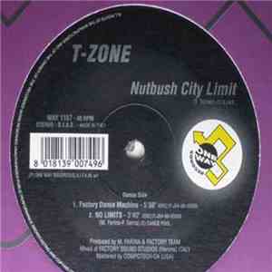 T-Zone - Nutbush City Limit download flac