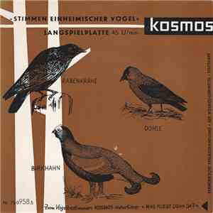 C. Fentzloff, Dr. G. Thielcke - Stimmen Einheimischer Vögel download flac