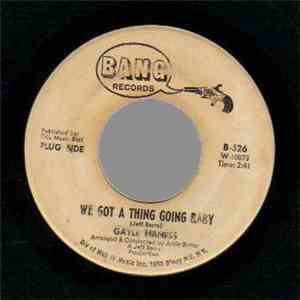 Gayle Haness - We Got A Thing Going Baby download flac