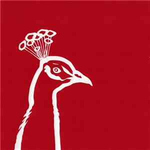 Lina Allemano Four - Pinkeye download flac