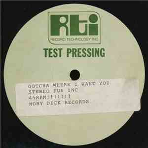 Stereo Fun Inc. - Got You Where I Want You Babe download flac