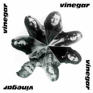 Vinegar  - Vinegar download flac