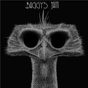 Baggy's Jam - Untitled download flac