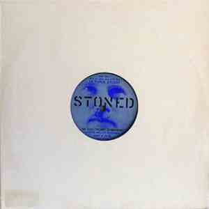 Gunner Møller Pedersen - Stoned - An Electronic Symphony download flac