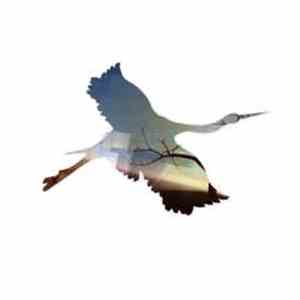 o.h.m.  - Open Wide Sky download flac