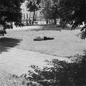 Self Defense Family - Heaven Is Earth download flac