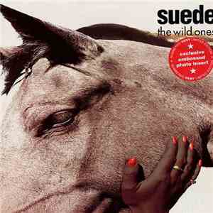 Suede - The Wild Ones download flac