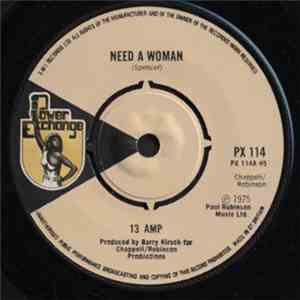 13 Amp  - Need A Woman download flac